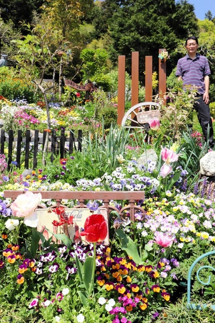 色とりどりの花々が咲く、足立満さんの庭＝丹波市青垣町中佐治