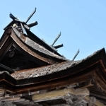 ふき替えを予定している檜皮ぶきの屋根＝丹波市柏原町柏原、柏原八幡宮