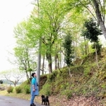 河南勲さんが整備した裏山を見つめる妻の眞美代さん＝丹波篠山市東古佐