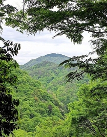 登山道から望む御嶽の山頂＝丹波篠山市