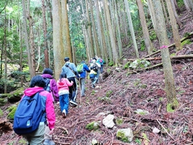 １２日の会場となる登山道（青木美子さん提供）