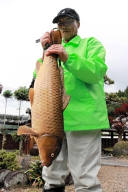 体長約７０センチのコイを捕まえた酒井孝巳さん＝丹波篠山市内