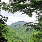 登山道から望む御嶽の山頂＝丹波篠山市