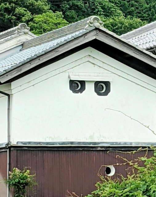 目ぢから強っ