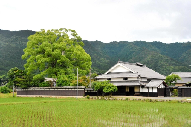 明治時代に建てられた古民家「本上田邸」＝丹波市春日町棚原
