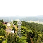 整備前の高谷山。山頂周辺にはスギやヒノキが林立していた（２０１８年６月撮影、市消防本部提供）