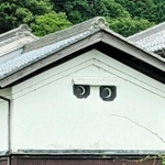 目ぢから強っ