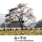 映画「森の学校」