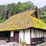 屋根の改修前の「長者屋敷」。コケや草も目立つ＝丹波篠山市網掛