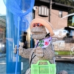 夏本番。虫取り網と虫かごを持って＝丹波市氷上町