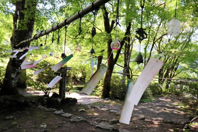 涼しげに揺れる風鈴＝高源寺
