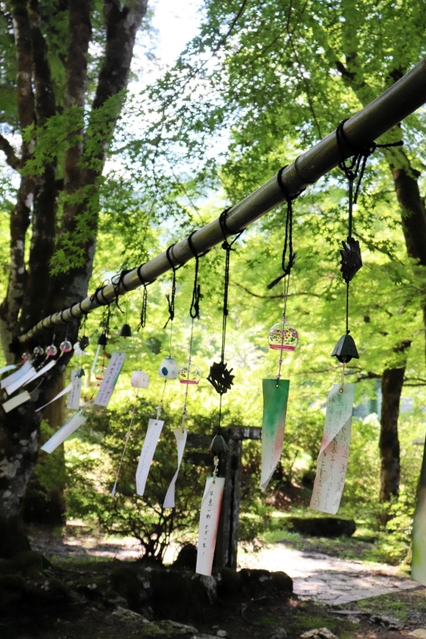 涼しげに揺れる風鈴＝高源寺