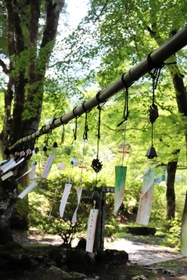 涼しげに揺れる風鈴＝高源寺