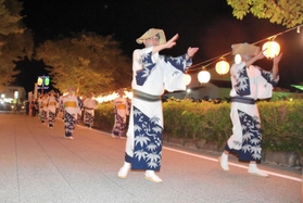 デカンショ踊りをしながら篠山城跡にたどり着いた参加者たち＝丹波篠山市北新町