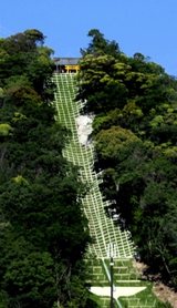 山腹が崩落し、治山事業で修復された「城山稲荷神社」のある山の斜面＝丹波篠山市今田町