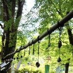 涼しげに揺れる風鈴＝高源寺