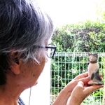 ネコをかたどった自作を眺める濱田さん。作品の購入者が“里帰り”だといって届けてくれた＝丹波篠山市内