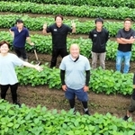 青々とした豆畑に立つ「デカンショ豆」の生産農家ら＝丹波篠山市内