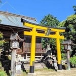 鮮やかな黄色の鳥居。神社のある山は戦国時代、山城だったとされる＝丹波篠山市今田町
