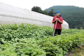 学校給食への有機野菜提供を提案した「篠山自然派」の中末智己さん＝丹波篠山市大山上