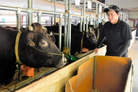 ３０年ぶりに但馬牛の繁殖農家への新規参入を果たした「丹波農商」の大塩敦史さん＝丹波市市島町上牧