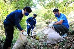 農業支援の第１弾として、栗拾いに励む「兵庫デルフィーノ」の選手ら＝丹波篠山市新荘