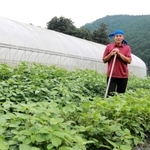 学校給食への有機野菜提供を提案した「篠山自然派」の中末智己さん＝丹波篠山市大山上