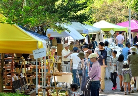 木漏れ日の下で作品を鑑賞する人たち＝２０１７年９月、丹波年輪の里
