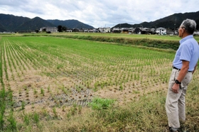 稲刈りの終わった田を見渡す赤井一三さん。「体の動くうちは、ほそぼそとでも農業を続けたいと思っている高齢者は多い」と話す＝丹波市氷上町新郷