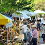 木漏れ日の下で作品を鑑賞する人たち＝２０１７年９月、丹波年輪の里