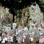 「子授け」に霊験があるとされる地蔵が山すそにずらり並ぶ「千体地蔵」＝三木市志染町井上