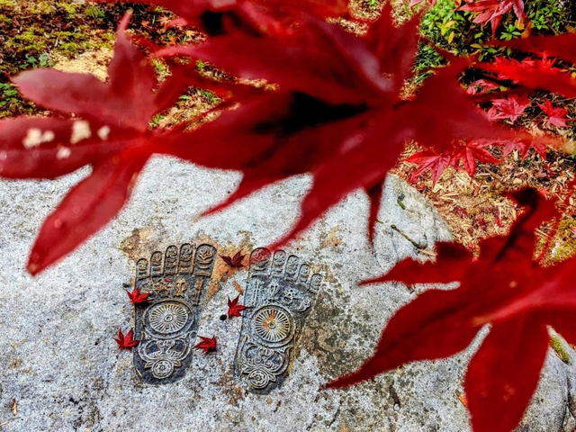紅葉が落ちた、達身寺の仏足石＝丹波市氷上町清住