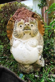 頭部にはスズメバチの巣の独特な渦巻き模様。表情も相まって怖さ倍増（井上勉さん提供）