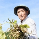 収穫が始まった丹波大納言小豆＝丹波市柏原町下小倉