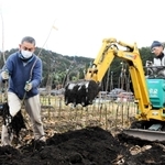 出荷のため苗木を掘り起こす生産者ら＝丹波市春日町小多利