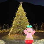 点灯式に登場し、ツリーの前でポーズをとる市のマスコットキャラクター「ちーたん」＝薬草薬樹公園