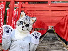 王地山稲荷神社の赤鳥居の前に立つササヤマメリーさん。「変身のきっかけはコロナ禍前のハロウィーン」と打ち明ける＝丹波篠山市河原町