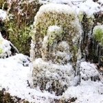 水しぶきで凍ったお不動さん。寒さにじっと耐えている？＝高源寺