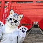王地山稲荷神社の赤鳥居の前に立つササヤマメリーさん。「変身のきっかけはコロナ禍前のハロウィーン」と打ち明ける＝丹波篠山市河原町