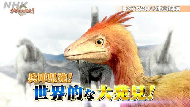 「ダーウィンが来た！」より（ＮＨＫ提供）