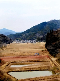 休耕田を転用したコイの養殖池（手前）＝丹波篠山市殿町