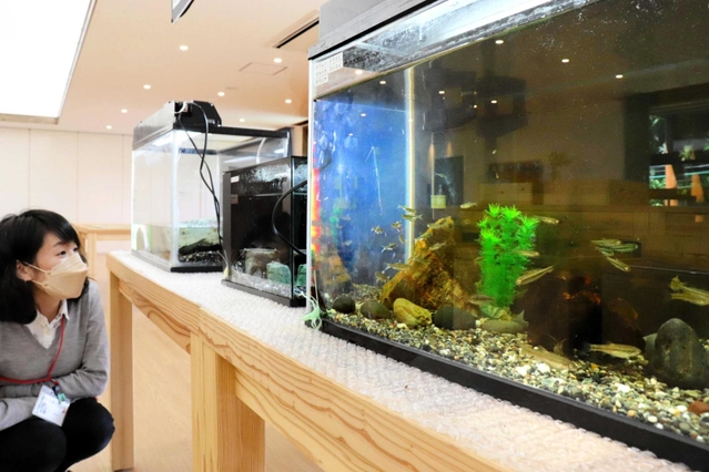 身近な生き物をじっくり観察できる企画展＝丹波市立氷上回廊水分れフィールドミュージアム