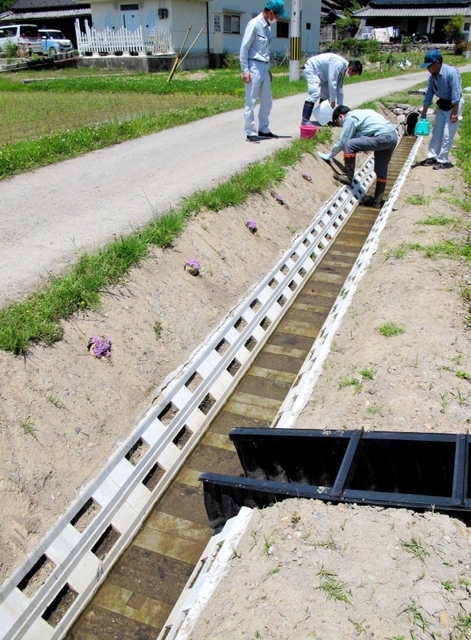 整備された新水路のうち幅が狭い穴あきタイプの「ヨシキモデル」＝丹波篠山市西本荘