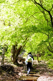天然の緑のドームが出迎えてくれた。その後は段差のある階段が延々と続いた＝丹波篠山市