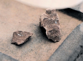 一般参加者が割った石。小さい方の石にある白い筋が古代のカエルのものとみられる化石＝丹波市山南町上滝