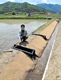 「農都のまほろば水路」として整備された新水路のうち、片側が土でできた「片側土タイプ」。黒い部分は「水田魚道」＝丹波篠山市西本荘
