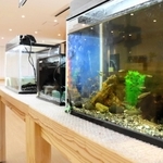 身近な生き物をじっくり観察できる企画展＝丹波市立氷上回廊水分れフィールドミュージアム