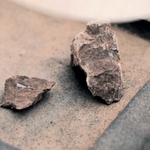 一般参加者が割った石。小さい方の石にある白い筋が古代のカエルのものとみられる化石＝丹波市山南町上滝
