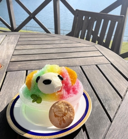 新メニューのカラフルな「虹くまかき氷」。交流サイト（ＳＮＳ）でも映えそうだ＝ユニトピアささやま