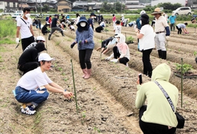 南多田自治会が主催した黒豆の植え付けに参加した丹波市在住の外国人ら＝丹波市柏原町南多田